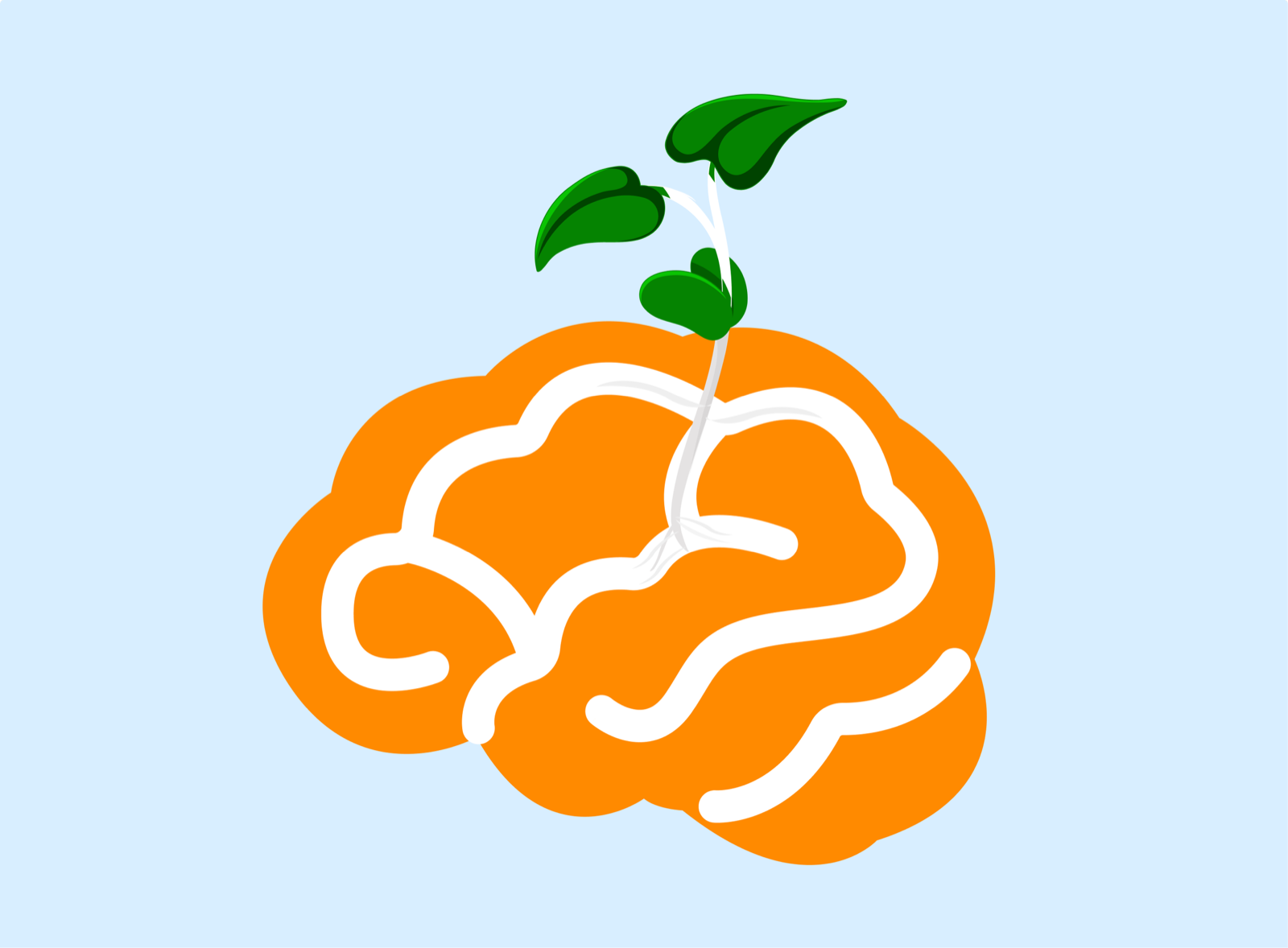 Beginner’s mind