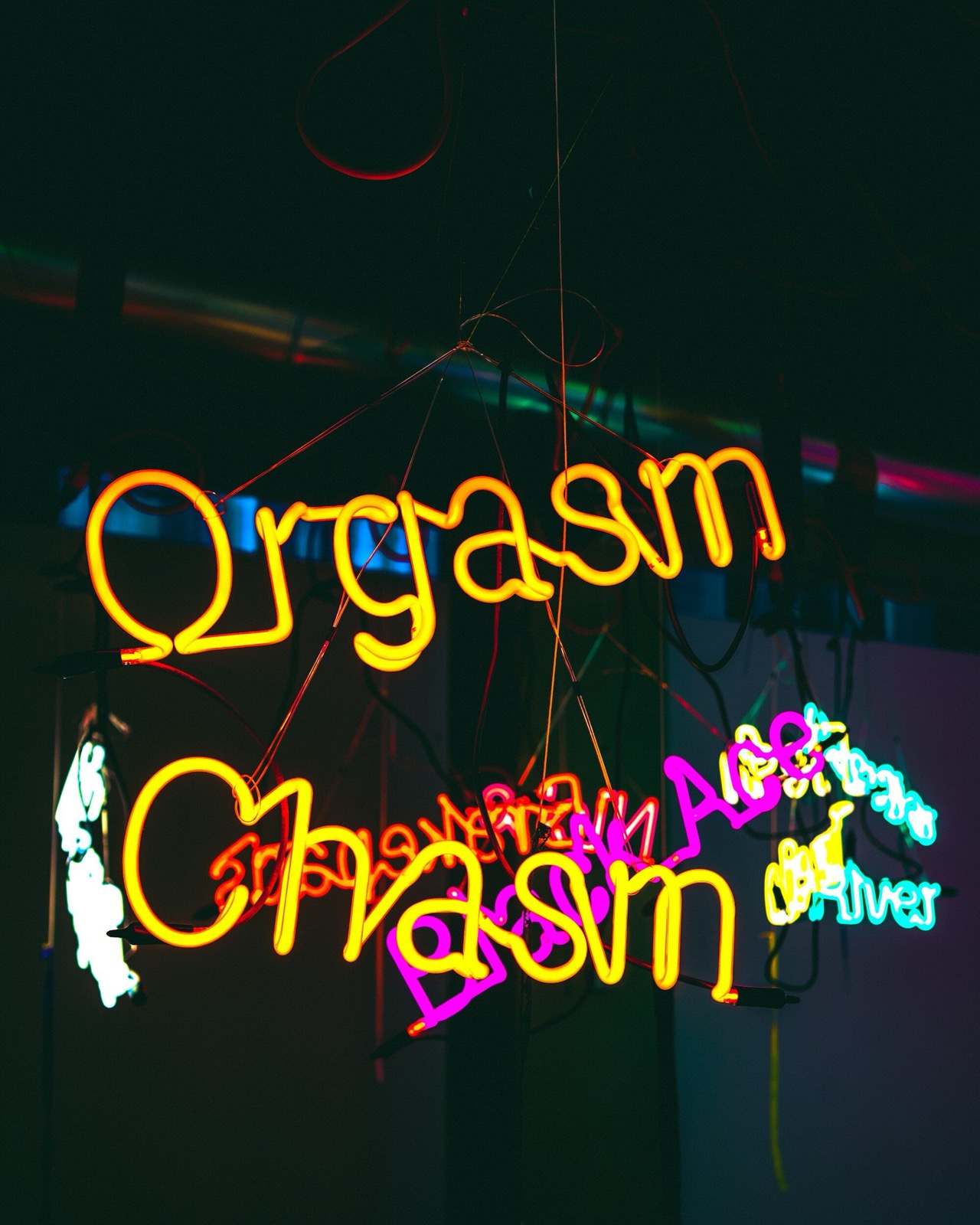 Der Orgasmus